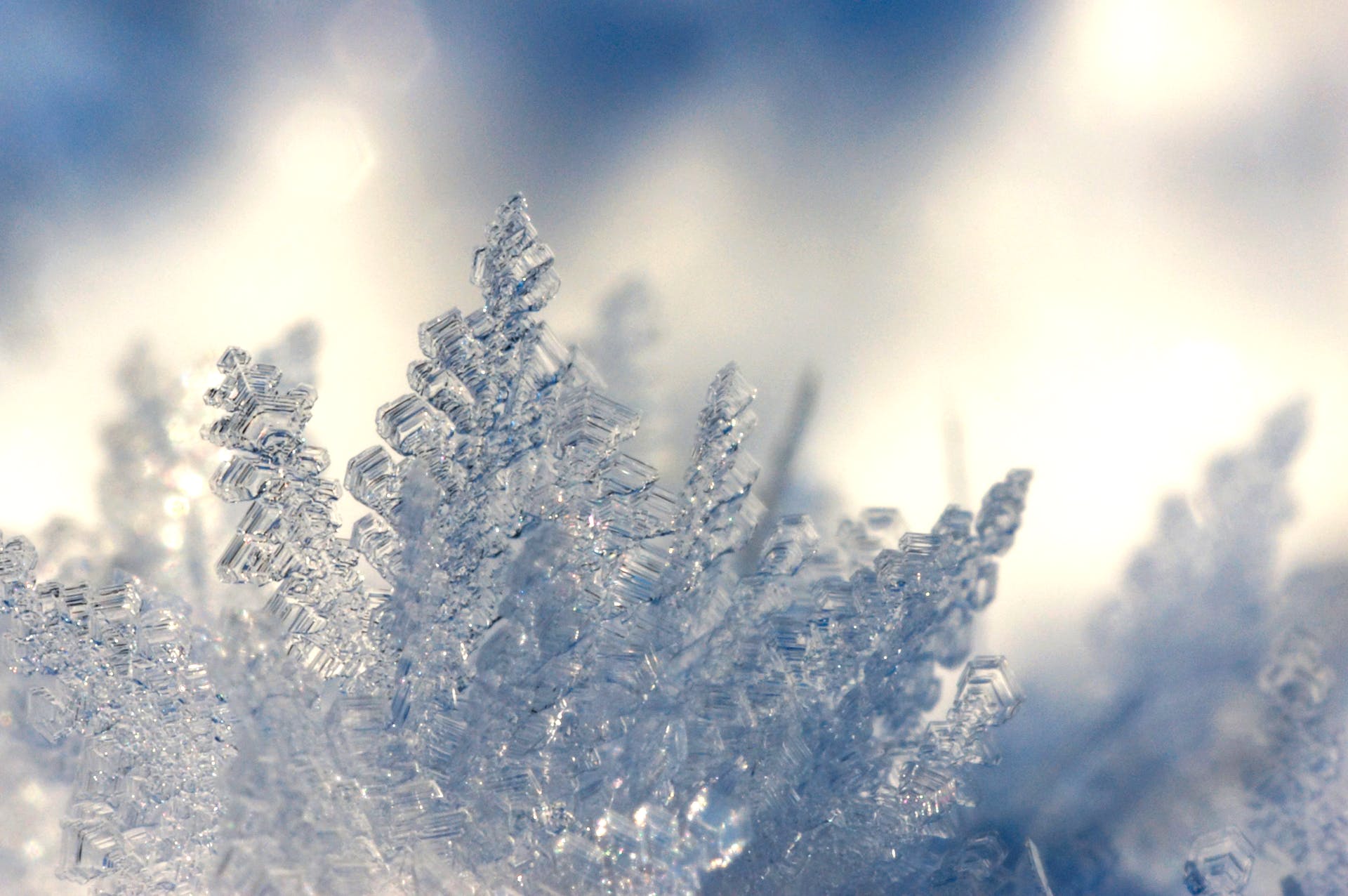 Guida completa alla salute degli occhi in inverno