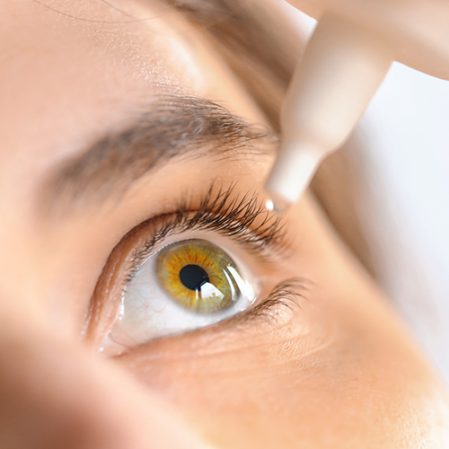 The latest information on dry eye disease